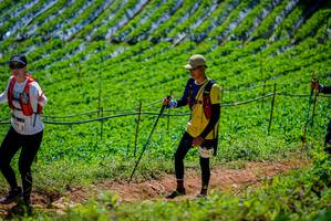 BIB: 
                            <button type="button" onclick="openModal(19164415)" class="btn btn-primary btn-sm float-right btn-popup" data-toggle="modal" data-target=".modal-high-quality">
                        <i class="fas fa-shopping-cart"></i> Add to Cart
                    </button>
                                            <button type="button" onclick="isThisMe(19164415, true)" class="btn btn-success btn-sm float-right btn-popup btn-isme hidden" data-toggle="tooltip" data-placement="bottom" title="นี่คือรูปของคุณใช่ไหม คลิกที่นี่เพื่อเอาเข้าอัลบั้ม">
                        <i class="fas fa-plus"></i> Add to album
                    </button>
                    <button type="button" onclick="isThisMe(19164415, false)" class="btn btn-warning btn-sm float-right btn-popup btn-isnotme hidden">
                        <i class="fas fa-ban"></i> Remove from album
                    </button>